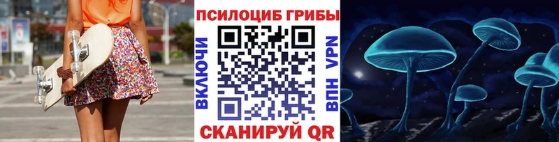 Псилоцибиновые грибы мицелий  как найти   Очёр 